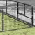 Prolenta Premium - Kennel Zepp