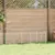 Prolenta Premium - Kennel Thieu Prolenta Premium - Kennel Thieu