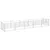 Prolenta Premium - Kennel Thieu Prolenta Premium - Kennel Thieu