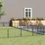 Prolenta Premium - Kennel Zepp Prolenta Premium - Kennel Zepp