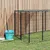 Prolenta Premium - Kennel Croughmarka Prolenta Premium - Kennel Croughmarka