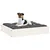 Prolenta Premium - Hundebett Karlee