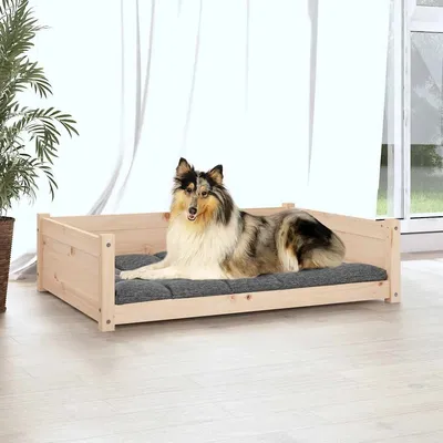 Prolenta Premium - Hundebett Chatham