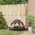 Prolenta Premium - Hundebett Selvya