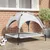 Prolenta Premium - Hundebett Marie-Fabienne