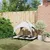 Prolenta Premium - Hundebett Selvya