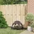 Prolenta Premium - Hundebett Marie-Fabienne