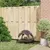 Prolenta Premium - Hundebett Selvya