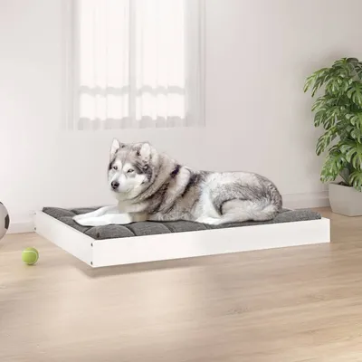 Prolenta Premium - Bed Cedar Hill Prolenta Premium - Bed Cedar Hill