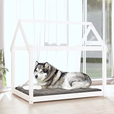 Prolenta Premium - Hundebett Naomi