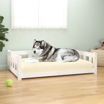 Prolenta Premium - Bed Rinara Prolenta Premium - Bed Rinara