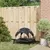 Prolenta Premium - Hundebett Selvya
