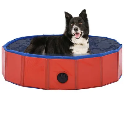 Prolenta Premium - Piscine pliable pour chiens Roaldir