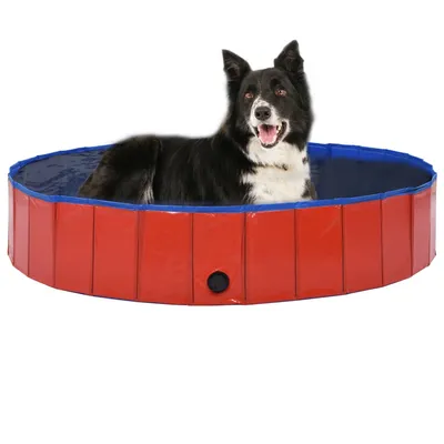 Prolenta Premium - Piscine pliable pour chiens Roaldir
