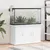 Prolenta Premium - Aquarium Stand Giel Prolenta Premium - Aquarium Stand Giel