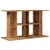 Prolenta Premium - Aquarium Stand Dade City Prolenta Premium - Aquarium Stand Dade City