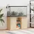 Prolenta Premium - Aquarium Stand Galena Prolenta Premium - Aquarium Stand Galena