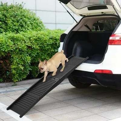 Prolenta Premium - Rampe pliable pour chien