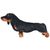 , Schwarz, Polyester: 100 %
