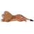 Prolenta Premium - Lion en peluche Marron XXL