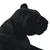 Prolenta Premium - Teddypanther Henri-Alexandre Prolenta Premium - Teddypanther Henri-Alexandre