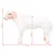 Prolenta Premium - Jouet en peluche Chicago Heights Prolenta Premium - Jouet en peluche Chicago Heights