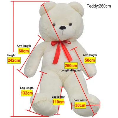 Prolenta Premium - Teddybär Belmont Prolenta Premium - Teddybär Belmont