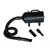 Prolenta Premium - Chenil d'extérieur pour chiens Paul-Alexis-Émile