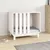Prolenta Premium - Kennel Rivoli