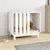Prolenta Premium - Kennel Rivoli