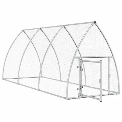 Prolenta Premium - Coop Wiscasset