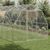 2,5 x 6 x 2,25 m , Argent, Acier