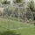 2,5 x 6 x 2,25 m , Silber, Stahl