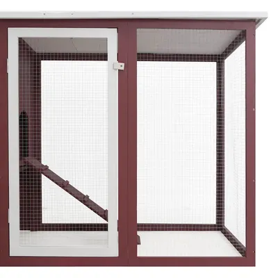 Prolenta Premium - Poulailler Kelisha