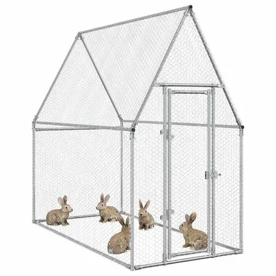 Prolenta Premium - Coop Kjorda