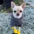 PAWZ Hundeschuhe PAWZ Hundeschuhe