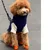 PAWZ Hundeschuhe PAWZ Hundeschuhe