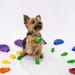 PAWZ Hundeschuhe