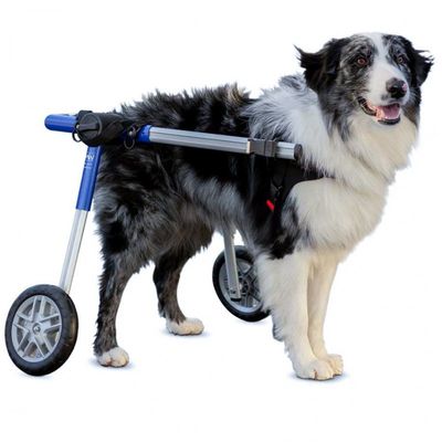 Walkin' Pets Chariot roulant pour chien handicapé