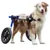 Walkin' Pets Chariot roulant pour chien handicapé Walkin' Pets Chariot roulant pour chien handicapé