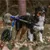 Walkin' Pets Chariot roulant pour chien handicapé