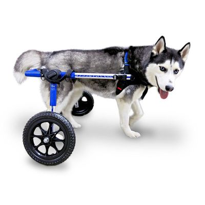 Walkin' Pets Chariot roulant pour chien handicapé