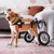 Walkin' Pets Chariot roulant pour chien handicapé Walkin' Pets Chariot roulant pour chien handicapé