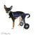 Walkin' Pets Chariot roulant pour chien handicapé Walkin' Pets Chariot roulant pour chien handicapé
