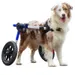 Walkin' Pets Chariot roulant pour chien handicapé