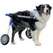 Walkin' Pets Chariot roulant pour chien handicapé