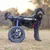 Walkin' Pets Chariot roulant pour chien handicapé Walkin' Pets Chariot roulant pour chien handicapé