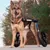 Walkin' Pets Chariot roulant pour chien handicapé Walkin' Pets Chariot roulant pour chien handicapé