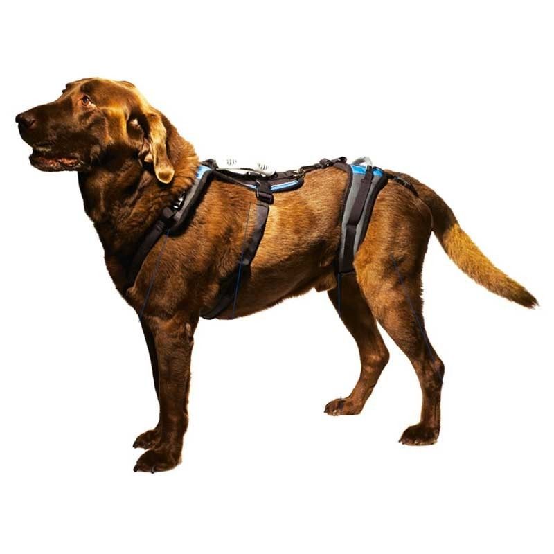 Help'Em Up harnais de portage pour chien handicapé ou âgé