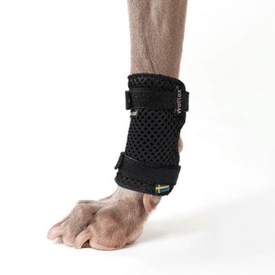 Back on Track attelles thermiques pour patte avant Thermo Carpe